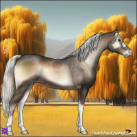 Horse Color:Liver Red Onyx Mushroom 