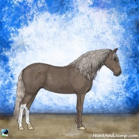 Horse Color:Silver Black 