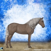 Horse Color:Silver Blue Roan