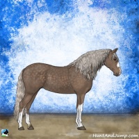 Horse Color:Silver Black 