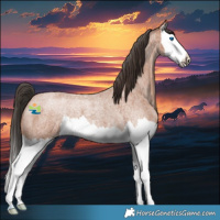 Horse Color:Bay Roan Splash Rabicano 