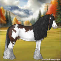 Horse Color:Bay Splash Frame Appaloosa 