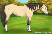 Horse Color:Buckskin Roan Dun Splash 