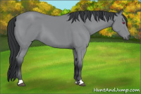 Horse Color:Bay Chinchilla 