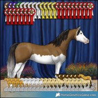 Horse Color:Gray Classic Cream Champagne Splash 