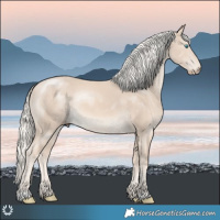 Horse Color:Cremello Rabicano