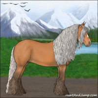 Horse Color:Silver Bay 