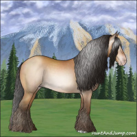 Horse Color:Gray Amber Champagne 