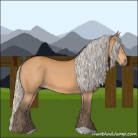 Horse Color:Silver Bay 
