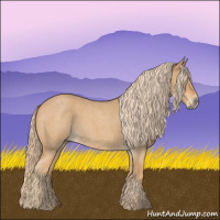 Horse Color:Red Roan 