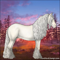 Horse Color:Silver Buckskin Roan Pearl Dun 