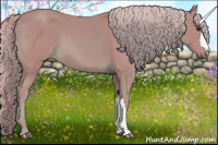 Horse Color:Watercolor Chestnut 