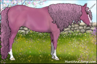 Horse Color:Watercolor Chestnut Sabino
