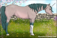Horse Color:Watercolor Bay 