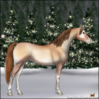 Horse Color:Bay Pearl Onyx 