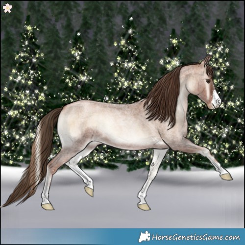 Horse Color:Liver Red Onyx Roan Pearl Sabino
