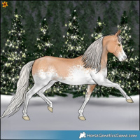Horse Color:White Spotted Silver Bay Pearl 