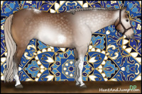 Horse Color:Gray Silver Buckskin Tobiano Frame 