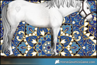 Horse Color:Gray Brown Dun Tobiano