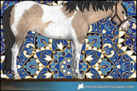 Horse Color:Brown Dun Tobiano Frame Rabicano