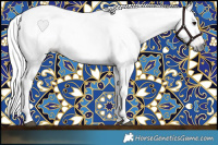 Horse Color:Gray Brown 