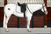 Horse Color:White Spotted Smoky Creme Dun Blanket Rabicano 