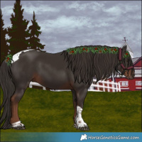 Horse Color:Liver Chestnut Tobiano 