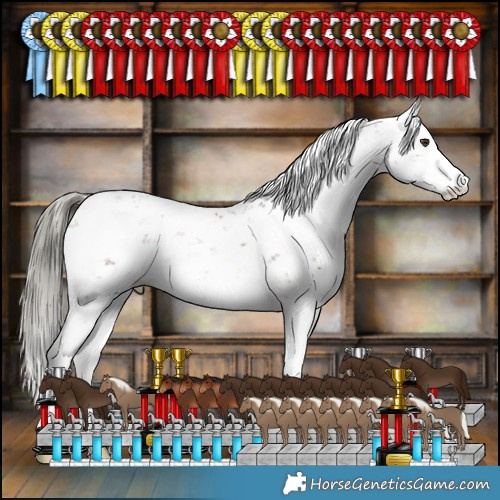 Horse Color:Liver Chestnut Mushroom Sabino 