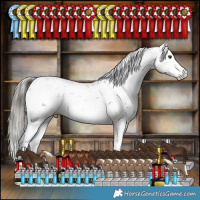 Horse Color:Liver Chestnut Mushroom Sabino 