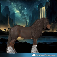 Horse Color:Liver Chestnut Tobiano 