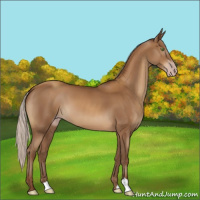 Horse Color:Gray Silver Sable Champagne 