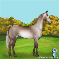 Horse Color:Gray Silver Black Pearl Sabino Rabicano 