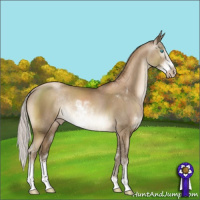 Horse Color:Gray Silver Smoky Black Pearl Sabino Rabicano 