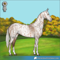 Horse Color:Silver Brown Pearl Tobiano Rabicano  and Gray Silver Brown Pearl Tobiano 
