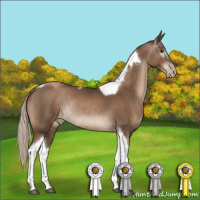 Horse Color:Gray Silver Black Pearl Tobiano Rabicano 