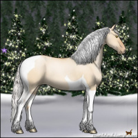Horse Color:Silver Bay Pearl Dun Tobiano