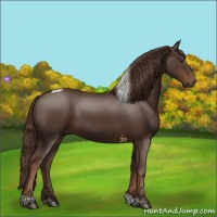 Horse Color:Liver Chestnut Tobiano