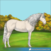 Horse Color:Cremello Tobiano 