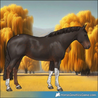 Horse Color:Liver Chestnut Tobiano 