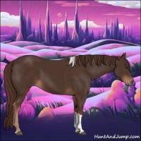 Horse Color:Liver Chestnut Tobiano