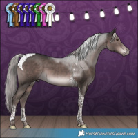 Horse Color:Platinum Liver Chestnut Tobiano 