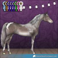 Horse Color:Platinum Liver Chestnut Tobiano 