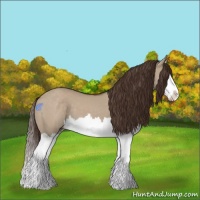 Horse Color:Liver Red Dun Splash  and Liver Red Dun Splash 