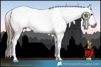 Horse Color:Gray Buckskin Tobiano Appaloosa