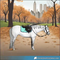 Horse Color:Gray Bay Roan 