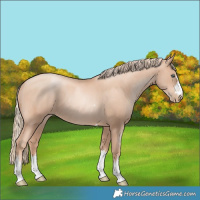 Horse Color:Gold Champagne Pearl Rabicano and Gold Champagne Pearl Rabicano