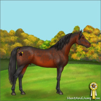 Horse Color:Brown Mushroom 