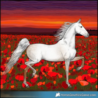 Horse Color:Gray Red Dun