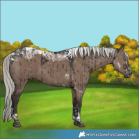 Horse Color:Liver Red Dun Mushroom Tobiano Brindle 