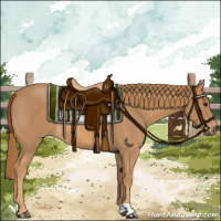 Horse Color:Red Roan 